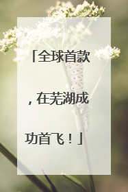 全球首款，在芜湖成功首飞！