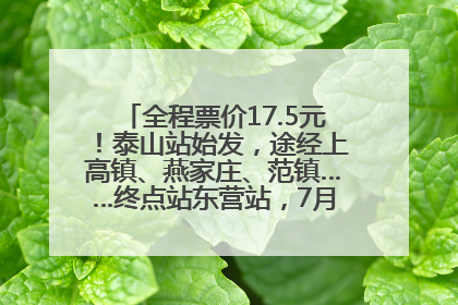 全程票价17.5元！泰山站始发，途经上高镇、燕家庄、范镇……终点站东营站，7月1日开通！