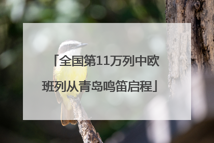 全国第11万列中欧班列从青岛鸣笛启程