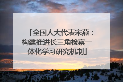 全国人大代表宋燕：构建推进长三角检察一体化学习研究机制