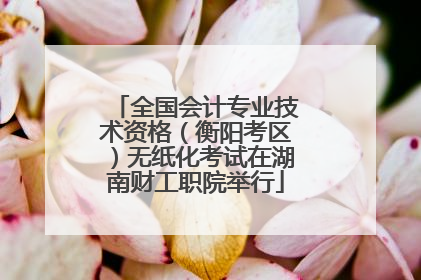 全国会计专业技术资格（衡阳考区）无纸化考试在湖南财工职院举行