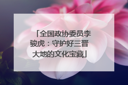 全国政协委员李骏虎：守护好三晋大地的文化宝藏