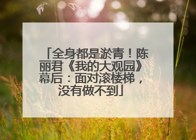 全身都是淤青！陈丽君《我的大观园》幕后：面对滚楼梯，没有做不到