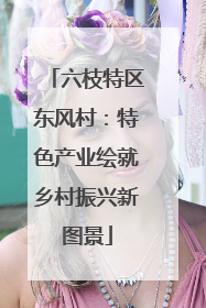 六枝特区东风村：特色产业绘就乡村振兴新图景