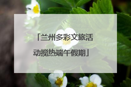 兰州多彩文旅活动搅热端午假期