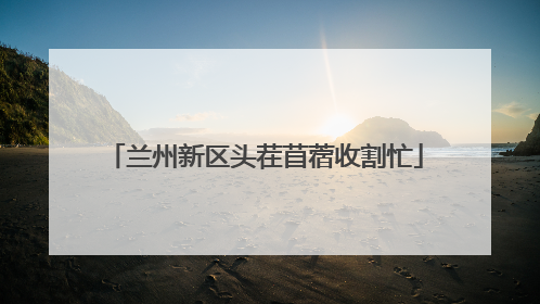 兰州新区头茬苜蓿收割忙