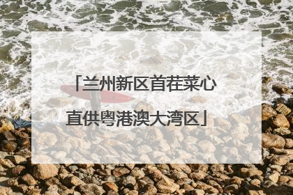 兰州新区首茬菜心直供粤港澳大湾区