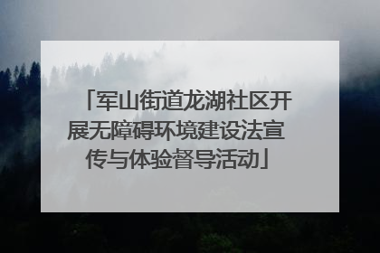 军山街道龙湖社区开展无障碍环境建设法宣传与体验督导活动