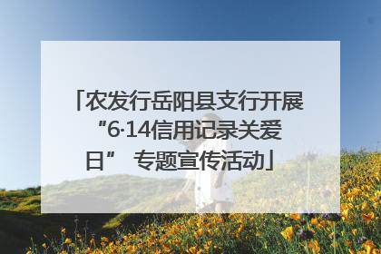 农发行岳阳县支行开展“6·14信用记录关爱日” 专题宣传活动