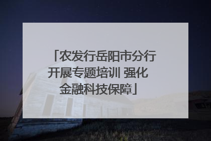 农发行岳阳市分行开展专题培训 强化金融科技保障