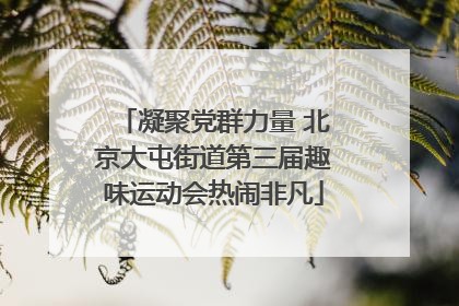 凝聚党群力量 北京大屯街道第三届趣味运动会热闹非凡