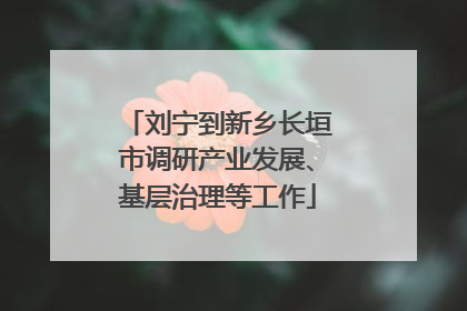 刘宁到新乡长垣市调研产业发展、基层治理等工作