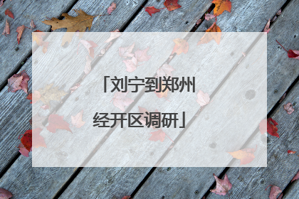 刘宁到郑州经开区调研