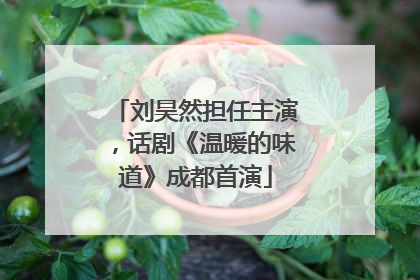 刘昊然担任主演，话剧《温暖的味道》成都首演