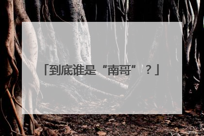 到底谁是“南哥”？