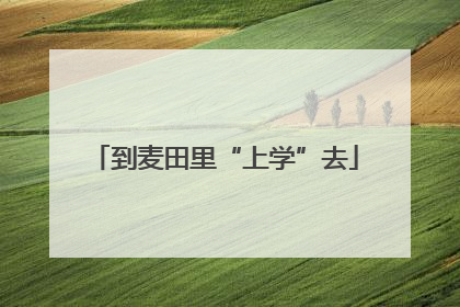 到麦田里“上学”去