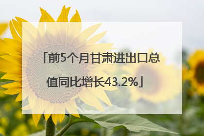 前5个月甘肃进出口总值同比增长43.2%