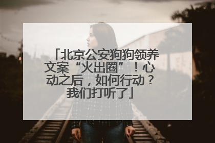北京公安狗狗领养文案“火出圈”！心动之后，如何行动？我们打听了