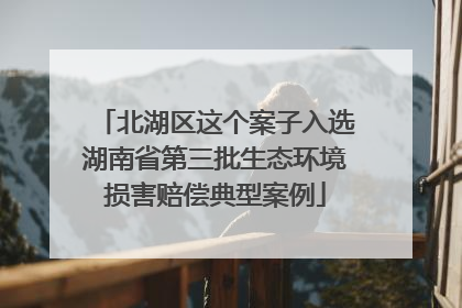 北湖区这个案子入选湖南省第三批生态环境损害赔偿典型案例