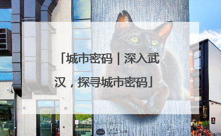 城市密码｜深入武汉，探寻城市密码