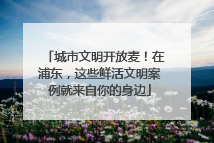城市文明开放麦！在浦东，这些鲜活文明案例就来自你的身边
