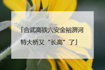 合武高铁六安金裕淠河特大桥又“长高”了