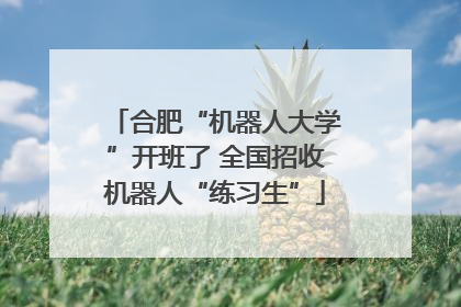 合肥“机器人大学”开班了 全国招收机器人“练习生”
