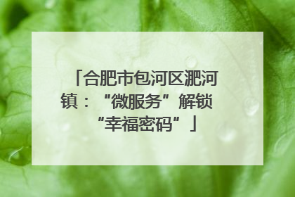 合肥市包河区淝河镇：“微服务”解锁“幸福密码”