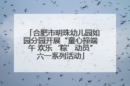 合肥市明珠幼儿园如园分园开展“童心撞端午 欢乐‘粽’动员”六一系列活动