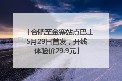 合肥至金寨站点巴士5月29日首发，开线体验价29.9元
