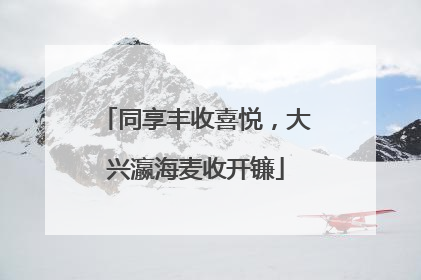 同享丰收喜悦，大兴瀛海麦收开镰