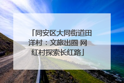 同安区大同街道田洋村：文旅出圈 网红村探索长红路