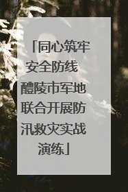 同心筑牢安全防线 醴陵市军地联合开展防汛救灾实战演练