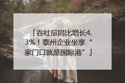 吞吐量同比增长4.3%！泰州企业坐享“家门口就是国际港”