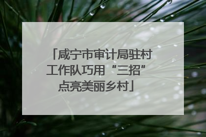 咸宁市审计局驻村工作队巧用“三招”点亮美丽乡村