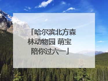 哈尔滨北方森林动物园 萌宝陪你过六一