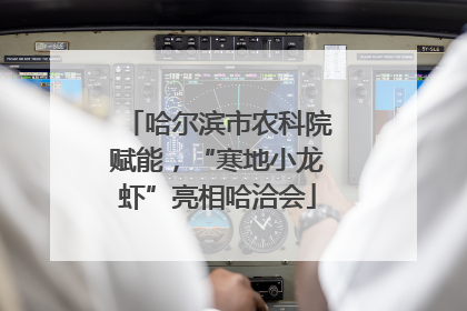 哈尔滨市农科院赋能，“寒地小龙虾”亮相哈洽会