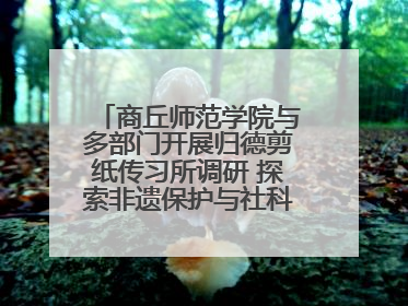 商丘师范学院与多部门开展归德剪纸传习所调研 探索非遗保护与社科研究融合新路径