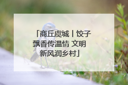 商丘虞城丨饺子飘香传温情 文明新风润乡村