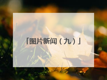 图片新闻（九）