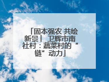 固本强农 共绘新景 ︳卫辉市南社村：蔬菜村的“链”动力