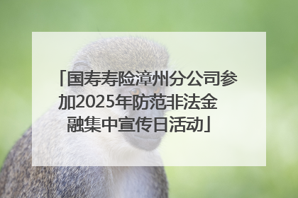国寿寿险漳州分公司参加2025年防范非法金融集中宣传日活动