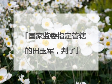 国家监委指定管辖的田玉军，判了