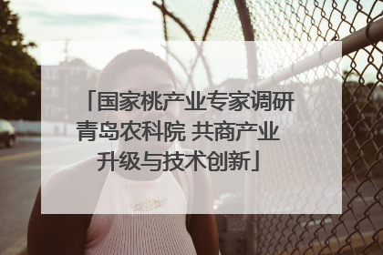 国家桃产业专家调研青岛农科院 共商产业升级与技术创新