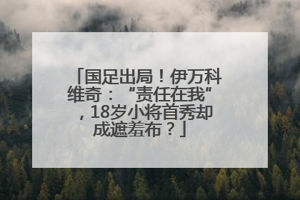 国足出局！伊万科维奇：“责任在我”，18岁小将首秀却成遮羞布？