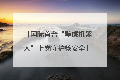 国际首台“壁虎机器人”上岗守护核安全