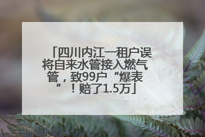 四川内江一租户误将自来水管接入燃气管，致99户“爆表”！赔了1.5万