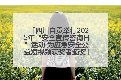 四川自贡举行2025年“安全宣传咨询日”活动 为应急安全公益短视频获奖者颁奖