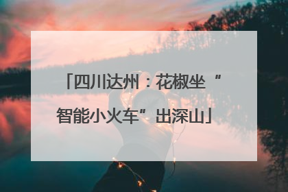 四川达州：花椒坐“智能小火车”出深山