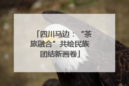 四川马边：“茶旅融合”共绘民族团结新画卷